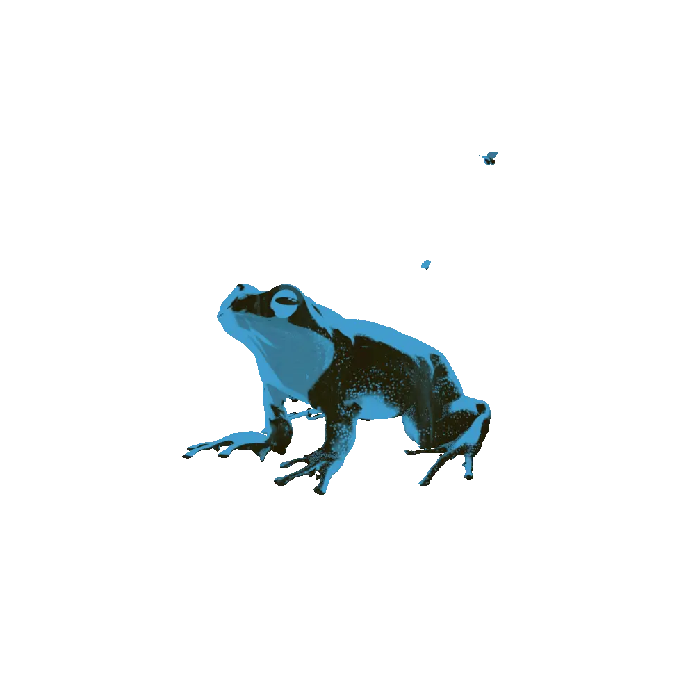current frog