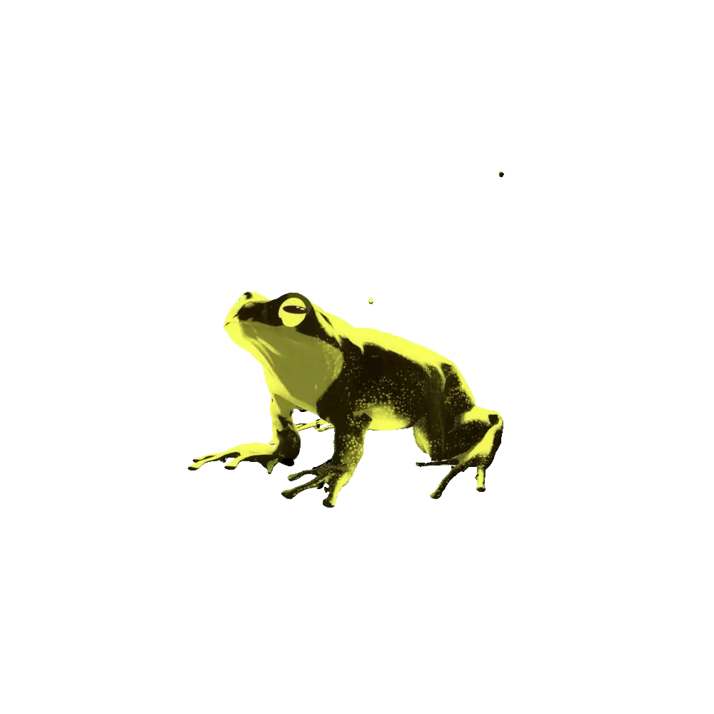 previous frog